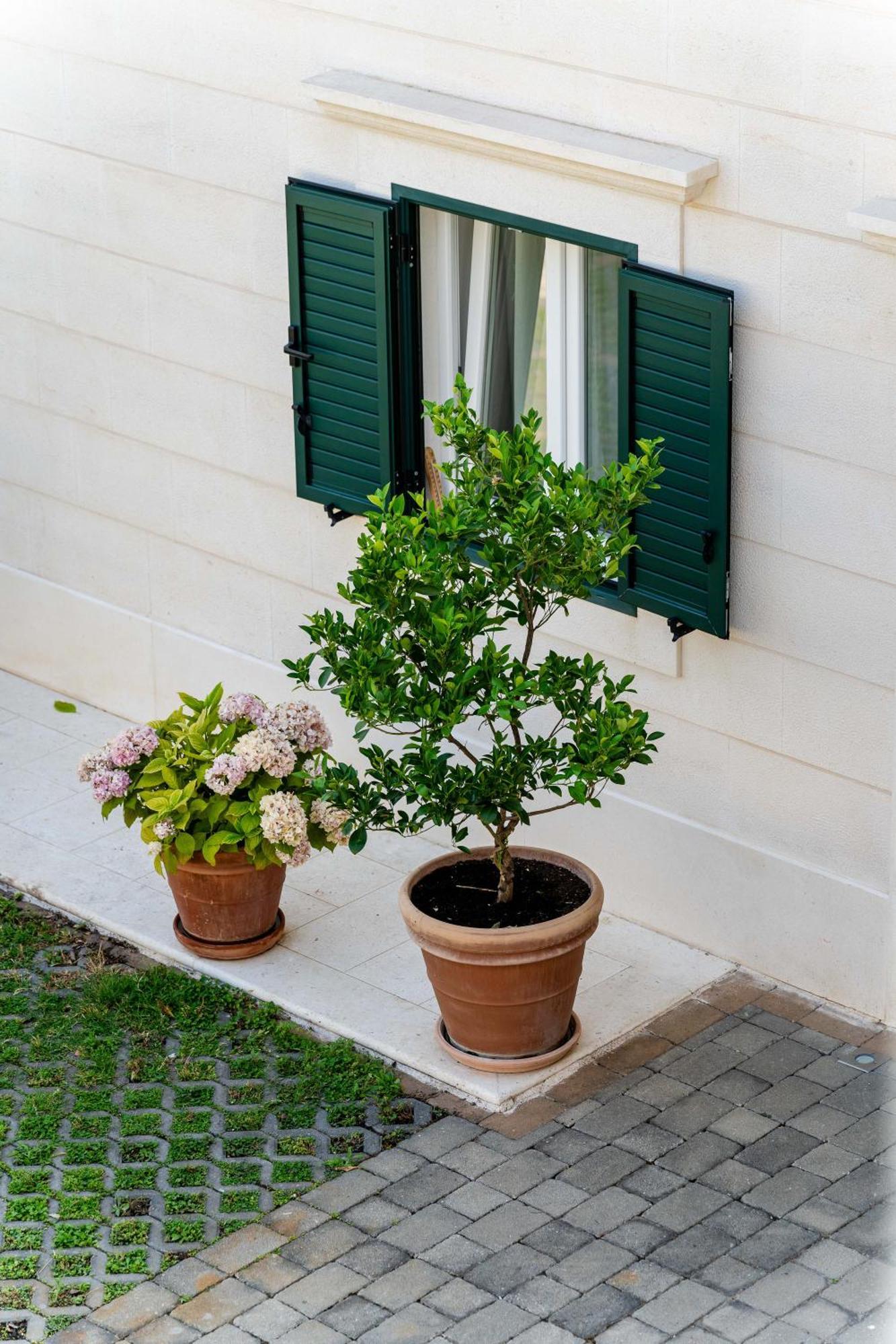 Kogo Apartment Hvar Town